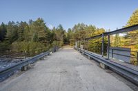 a bridge with metal railings over a stream near trees and a forest path with benches