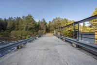 a bridge with metal railings over a stream near trees and a forest path with benches