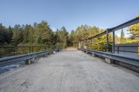 a bridge with metal railings over a stream near trees and a forest path with benches