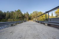 a bridge with metal railings over a stream near trees and a forest path with benches