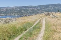 Coastal Water in British Columbia