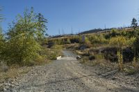 a small bridge over a dirt road with some trees and rocks surrounding it and a blue sky