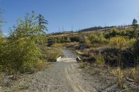 a small bridge over a dirt road with some trees and rocks surrounding it and a blue sky