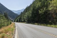 a road that has trees on both sides with a mountain in the background with mountains in the middle with green grass around the roadside