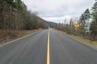 a long stretch of road with yellow markings on it next to a line of trees