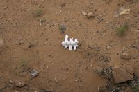 a broken pipe on a sandy surface with dirt and rocks surrounding it and plants nearby