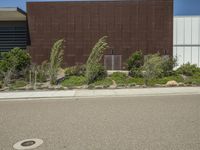 a street lined with plants and bushes in front of a brown building under a blue sky