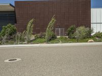 a street lined with plants and bushes in front of a brown building under a blue sky