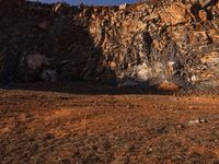 a horse stands at the base of a cliff and grazes near a fence that leads up to it