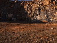 a horse stands at the base of a cliff and grazes near a fence that leads up to it