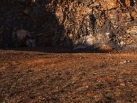 a horse stands at the base of a cliff and grazes near a fence that leads up to it