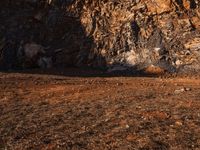 a horse stands at the base of a cliff and grazes near a fence that leads up to it