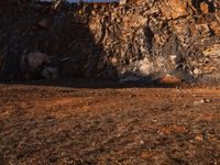 a horse stands at the base of a cliff and grazes near a fence that leads up to it