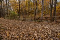 the trail leads through a forested area with wooden fences in front of it and colorful leaves scattered on the ground