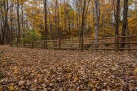 the trail leads through a forested area with wooden fences in front of it and colorful leaves scattered on the ground