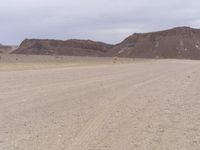 Brown Plain in Africa: Endless Landscape