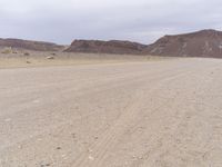 Brown Plain in Africa: Endless Landscape