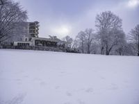 Building, House and Tree: A Beautiful Landscape View