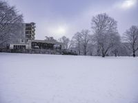 Building, House and Tree: A Beautiful Landscape View