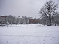 the view from outside of a park showing the city and buildings in the distance covered in snow