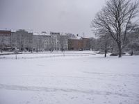 the view from outside of a park showing the city and buildings in the distance covered in snow