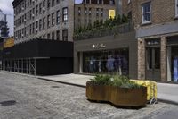 a man stands near a street with two plants in a bronze vase on the ground