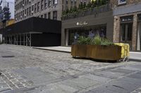 a man stands near a street with two plants in a bronze vase on the ground