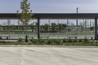 a bus stop with many windows in the background on a sunny day, it appears to be in a public transit area