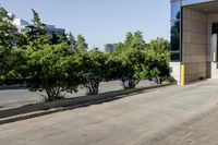 the bus station has some trees growing outside it by it's door, in front of a building