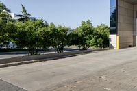 the bus station has some trees growing outside it by it's door, in front of a building