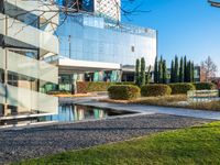 an open courtyard area has green grass, trees, and buildings on the other side