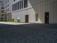 Berlin's Business District: Cobblestone Road and Modern Architecture