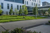 this is an empty street and some flowers in the grass and shrubs in front of the building