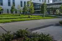 this is an empty street and some flowers in the grass and shrubs in front of the building