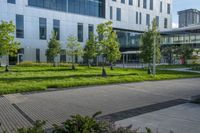 this is an empty street and some flowers in the grass and shrubs in front of the building