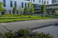 this is an empty street and some flowers in the grass and shrubs in front of the building