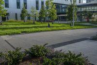 this is an empty street and some flowers in the grass and shrubs in front of the building