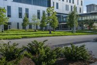 this is an empty street and some flowers in the grass and shrubs in front of the building