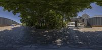 fish eye view of outdoor area with various trees and buildings in the distance with cobblestones