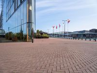 Business District in Holland: Where Clear Skies Meet Business