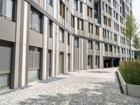 a sidewalk with planters on both sides near tall buildings on one side and glass windows on the other