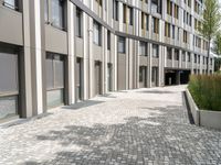 a sidewalk with planters on both sides near tall buildings on one side and glass windows on the other