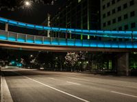 the illuminated walkway leads to an elevated walkway over an empty street at night with cars on it