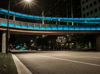 the illuminated walkway leads to an elevated walkway over an empty street at night with cars on it