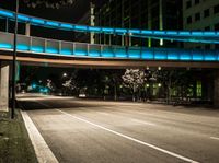 the illuminated walkway leads to an elevated walkway over an empty street at night with cars on it