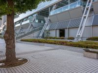 Business District in Tokyo: Office Building in the City