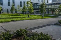 a city street surrounded by grass and tall buildings at the end of a street there is a paved pathway in front of the building