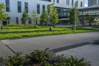 a city street surrounded by grass and tall buildings at the end of a street there is a paved pathway in front of the building