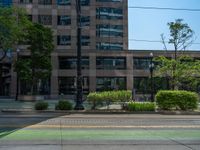 the green paint is painted on a bike path in front of an office building and large, trees