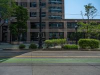 the green paint is painted on a bike path in front of an office building and large, trees